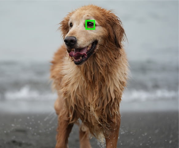 دوربین بدون آینه سونی a7 IV