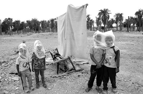 «انجماد» عکس ها در نگارخانه لاله