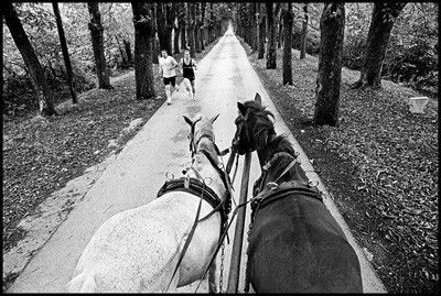 برپایی سه دوره آموزش عکاسی توسط محسن راستانی 