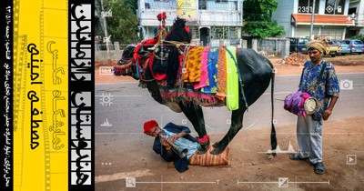 نمایشگاه عکس مصطفی امینی در مجتمع میلاد نور یزد 