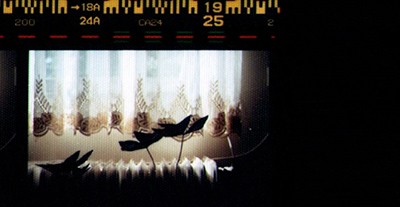 نمایشگاه عکس‌های مهرداد افسری در گالری محسن 