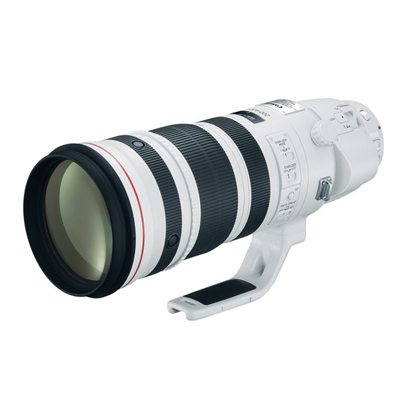 Canon EF 200-400mm f/4L IS USM Lens with Internal 1.4x Extender 