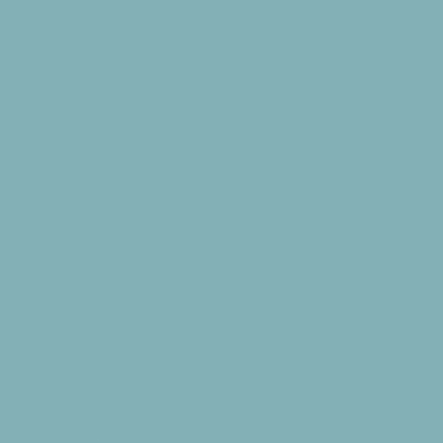فون عکاسی کاغذی Savage Widetone Seamless #02 Sky Blue