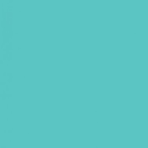 فون کاغذی Savage Widetone Seamless #47 Baby Blue