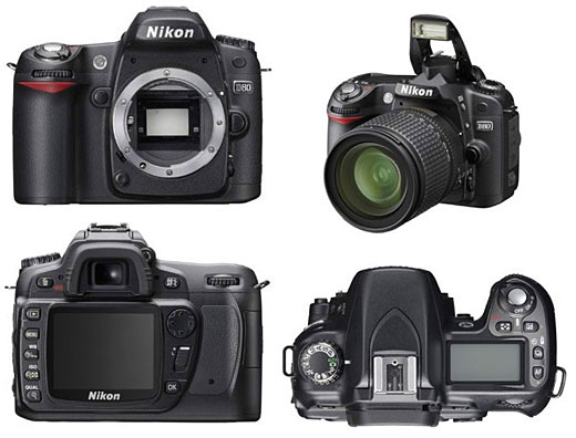 NIKON D80D-SLR  - kite 18-135