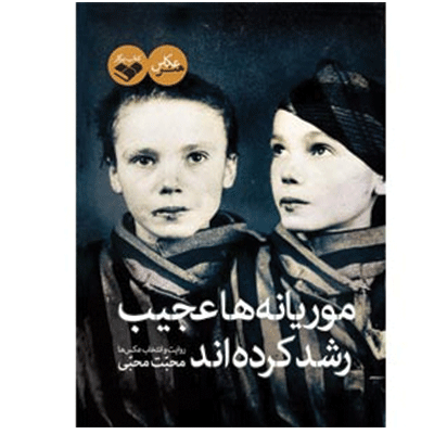 موریانه ها عجیب رشد کرده اند... 