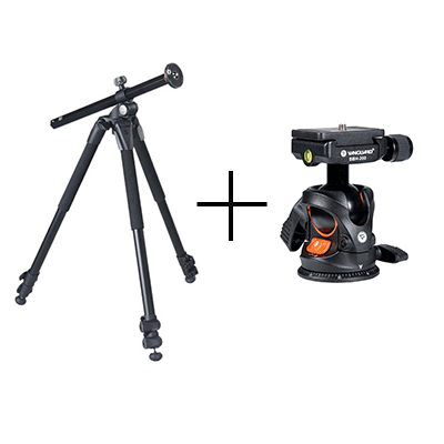 Vanguard Alta Pro 263AT With BBH-200 Head